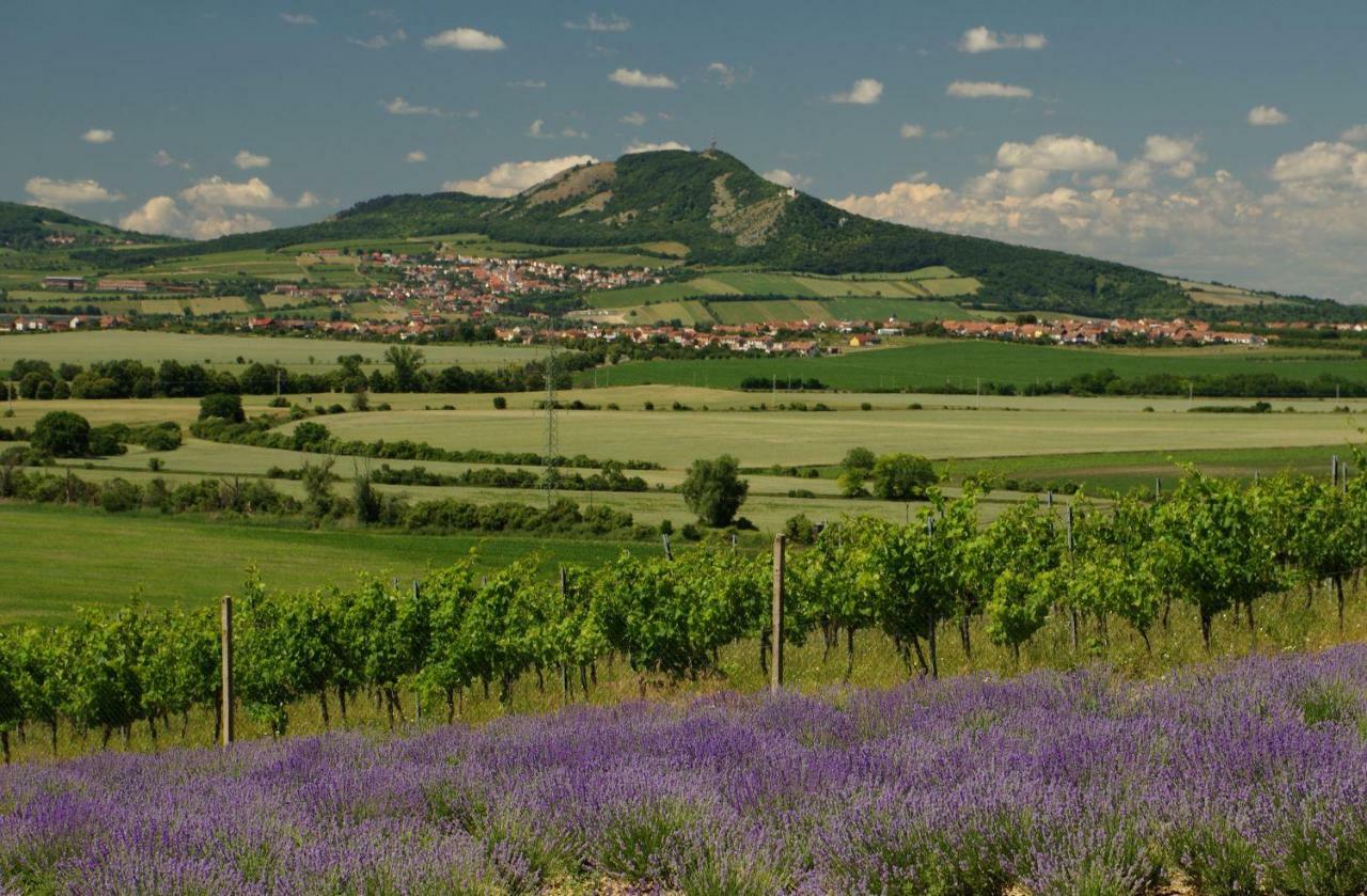 Penzion Levandule A Palava Starovicky Exterior foto